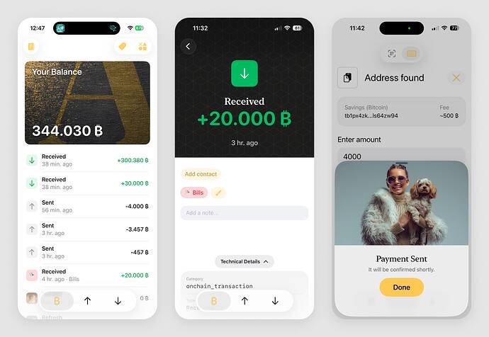 arke-onchain-bdk-260302